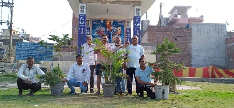 पर्यावरण दिवस पर लोगों ने घरों से लाकर पौधे लगाए