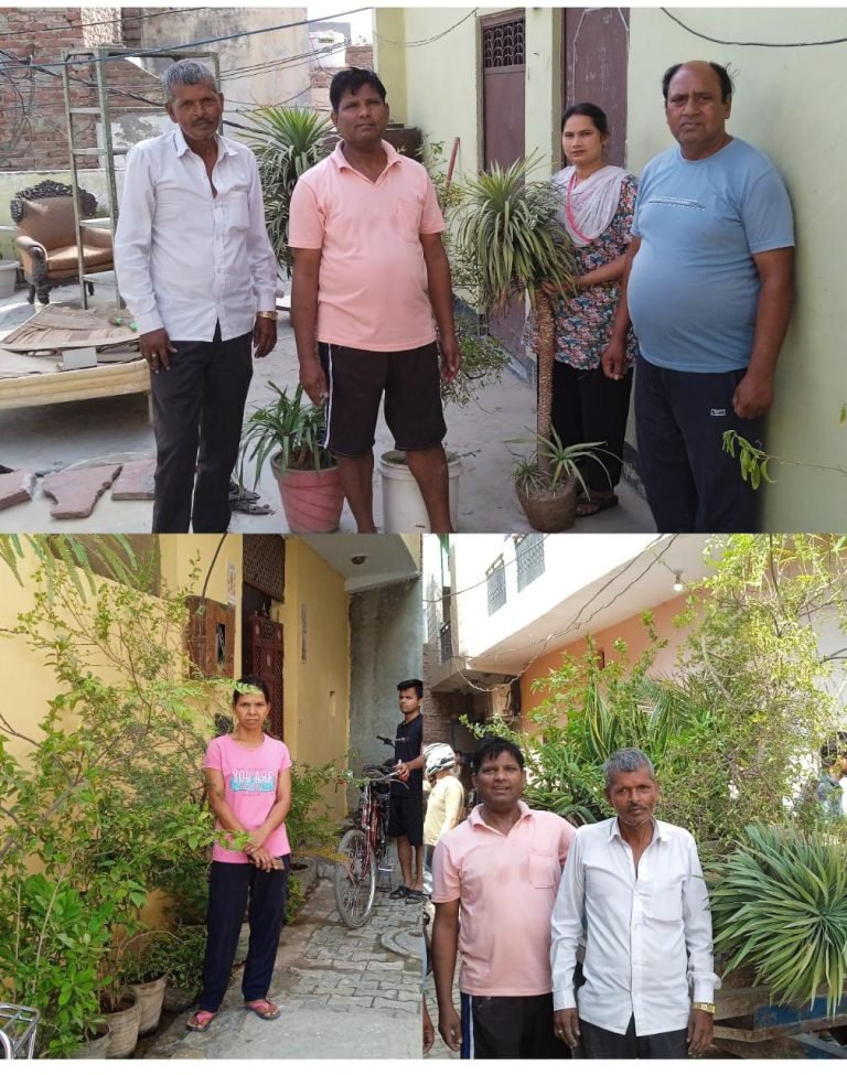 पौधों की विदाई, पार्क में काम आई, प्रक्रति से जोड़ने का नायब तरीका