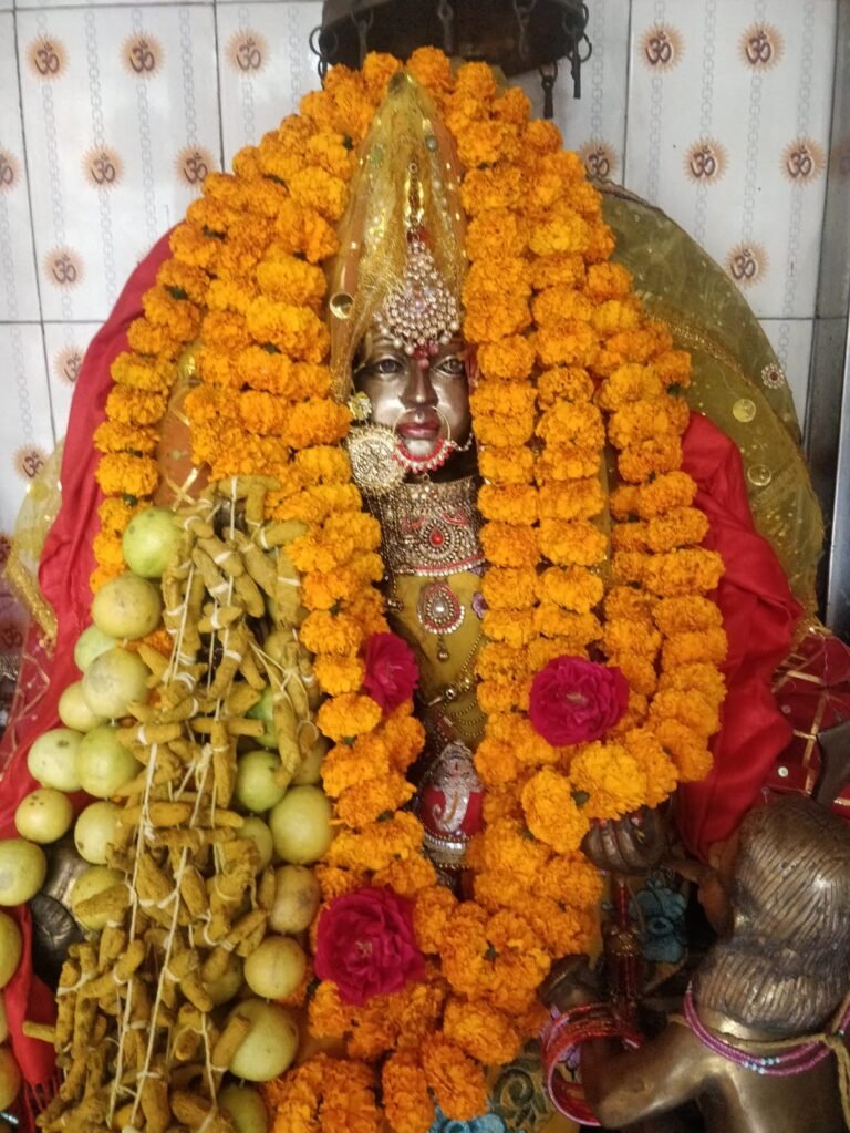मां बगलामुखी के हवन नलखेड़ा, कांगड़ा के अलावा मेरठ में भी होता है हवन