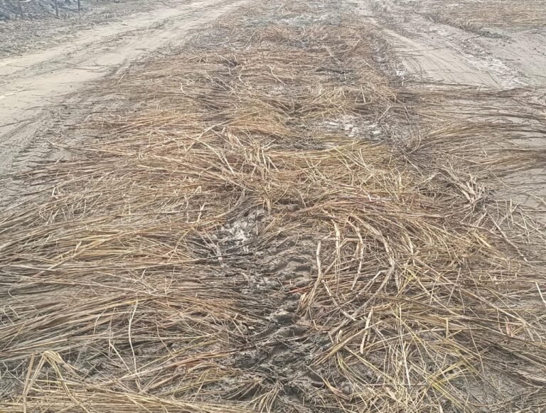 पौराणिक गढ़ गंगा मेले में अव्यवस्था का बोलबाला