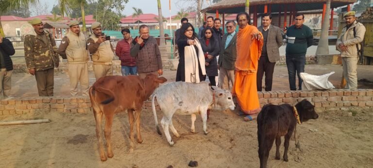 डीएम ने पालिका के निर्माण कार्यों का निरीक्षण किया