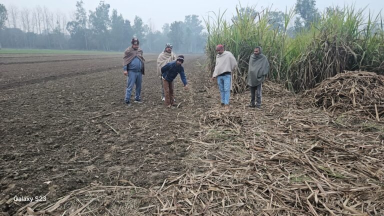 अक्खापुर गांव में तेंदुआ दिखने की चर्चा से भय का माहौल