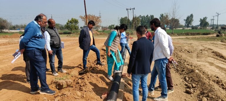 ग्राम किर्रा स्थित औद्योगिक पार्क योजना के अन्तर्गत कराये जा रहे विकास कार्यों का उपाध्यक्ष द्वारा औचक निरीक्षण किया गया