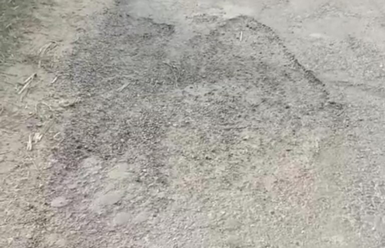 कांवड़ियों की राह में मुसीबत बनेंगे गड्ढे, बरासऊ में वर्षों से टूटी पड़ी है सड़क