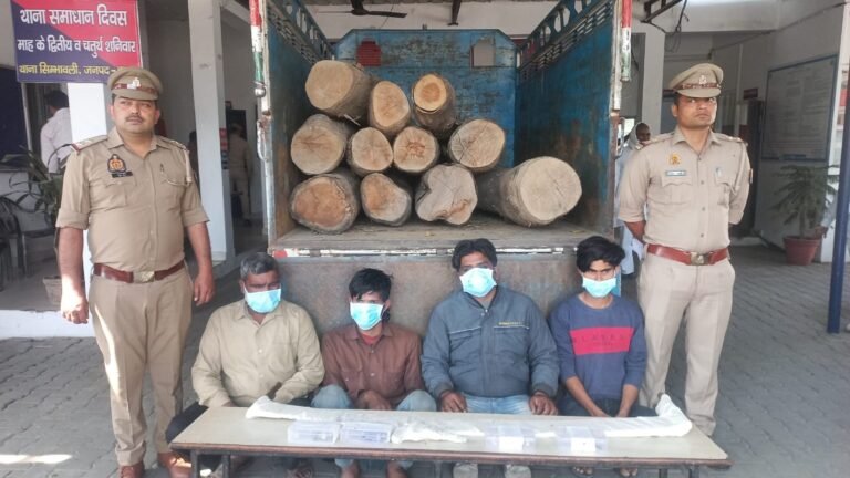 कीमती पेड़ों की तस्करी करने वाले गिरोह का पर्दाफाश, लाखों रुपये की लकड़ी बरामद