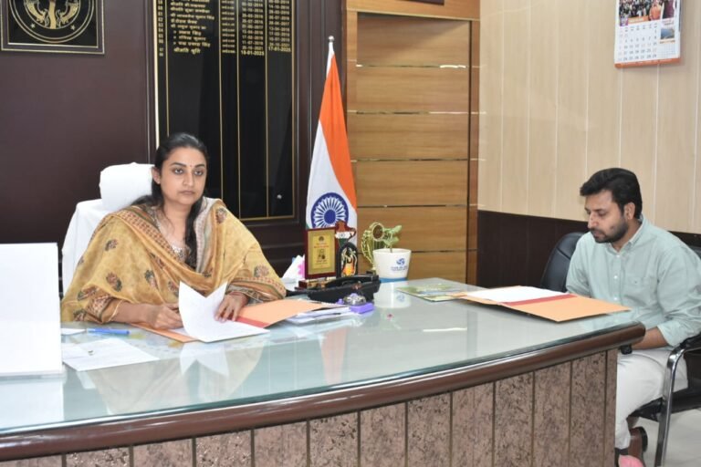 डीएम की अध्यक्षता में जिला सड़क सुरक्षा समिति की बैठक हुई सम्पन्न