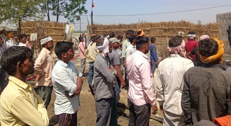 गर्मी का रौद्र रूप: आग में जलकर 16 बकरियों की मौत