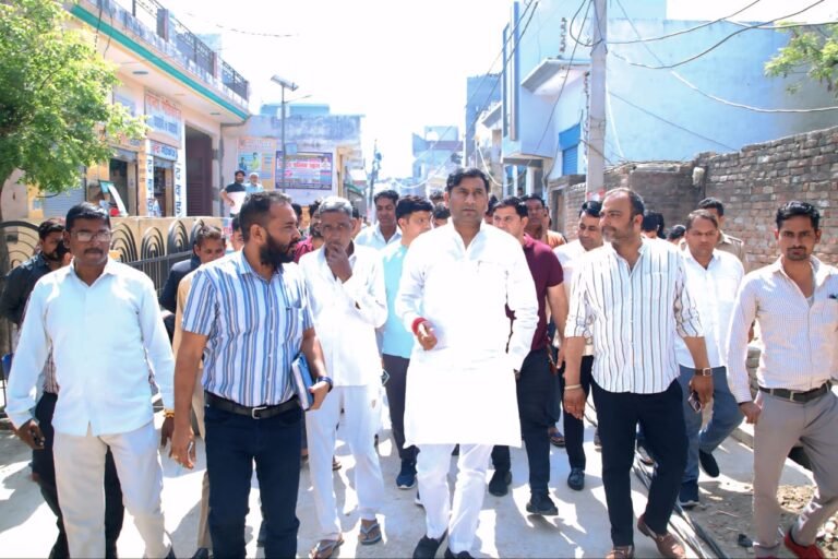 सोमेंद्र तोमर ने ग्राम गंगोल में आर०डी०एस०एस० योजना के अंतर्गत विद्युत सुधार कार्यों का किया औचक निरीक्षण