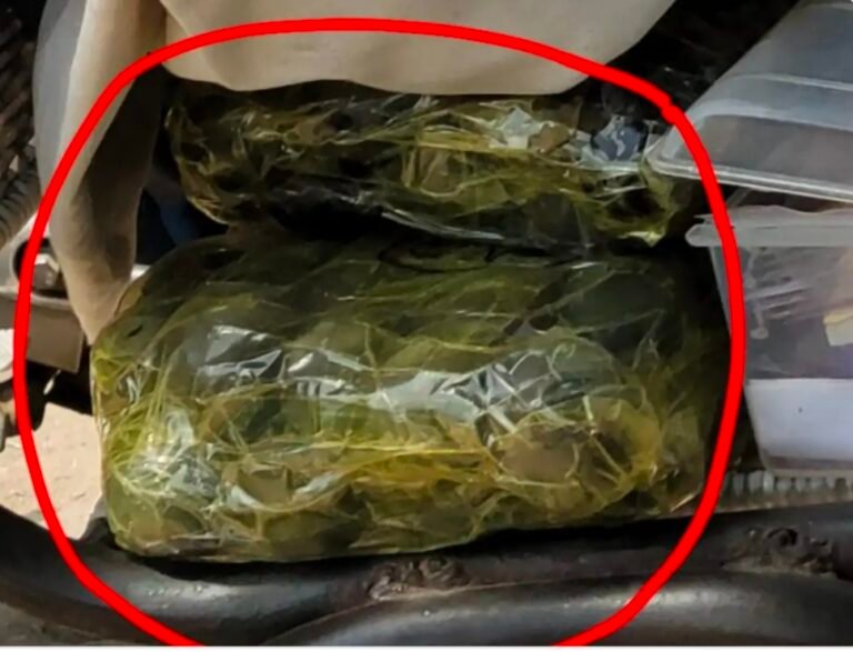 मेरठ में आ रही थी चरस, नारकोटिक्स ब्यूरो की टीम ने एक महिला समेत 2 को किया अरेस्ट, 80 लाख की चरस बरामद