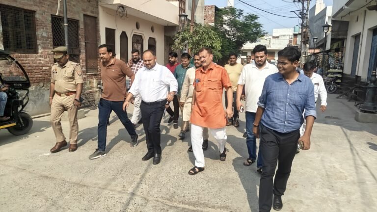 जिलाधिकारी अभिषेक पांडेय द्वारा नगर पालिका परिषद पिलखुवा के वार्ड नंबर 15 लखपत सिंह की मड़ैया का किया गया निरीक्षण