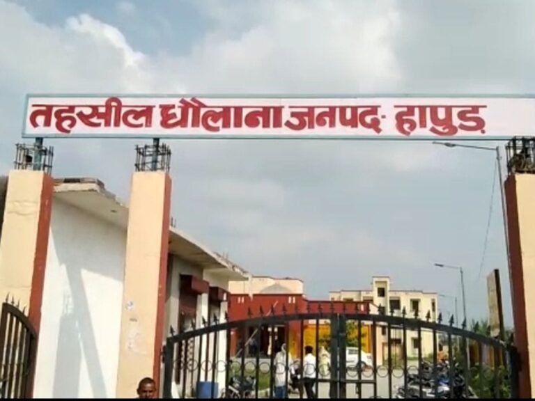 धौलाना में चकरोड पर सड़क और गेट लगाने का विवाद, लेखपाल-अधिवक्ता की कहासुनी का ऑडियो वायरल